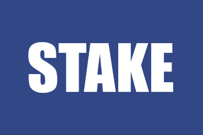 Логотип казино Stake